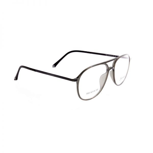 SNOWBERRY 1102 C6